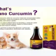 MPS Nanocurcumin Syrup for Dogs & Cats, 100 ML