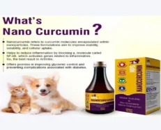 MPS Nanocurcumin Syrup for Dogs & Cats, 100 ML at ithinkpets.com (2)