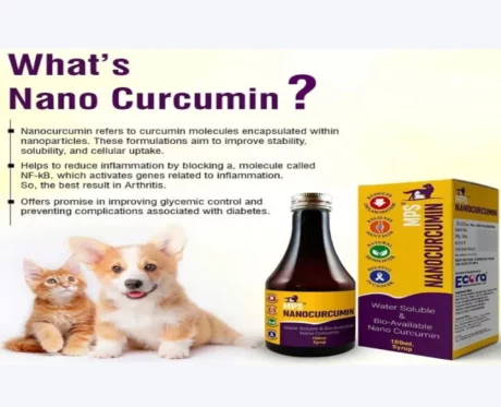 MPS Nanocurcumin Syrup for Dogs & Cats, 100 ML at ithinkpets.com (2)