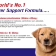 MPS SameLiv Large Tablets for Dogs
