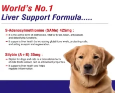 MPS SameLiv Large Tablets for Dogs at ithinkpets.com (2)