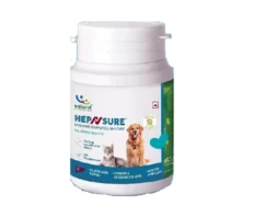 Natural Remedies HepNSure for Dogs & Cats at ithinkpets.com (1) (1)