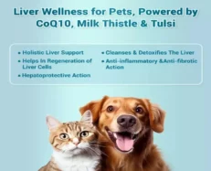 Natural Remedies HepNSure for Dogs & Cats at ithinkpets.com (2)