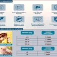 Natural Remedies HepNSure for Dogs & Cats