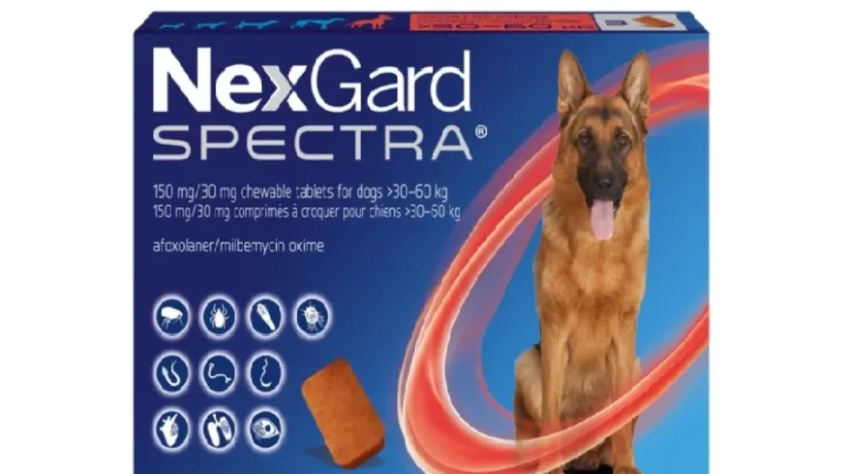Nexgard Chewable Tablets Nexgard Treats Nexgard Dog Chew Large 25