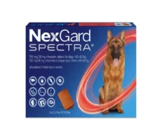 NexGard Spectra XL for Flea, Tick, Worm and Heartworm Protection for Dogs, 30 – 60 KG at ithinkpets.com (1) (1)