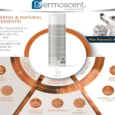 Savavet Dermoscent Essential 6 Sebo Shampoo for Dogs & Cats, 200 ML
