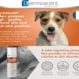 Savavet Dermoscent Essential 6 Sebo Shampoo for Dogs & Cats, 200 ML