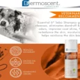 Savavet Dermoscent Essential 6 Sebo Shampoo for Dogs & Cats, 200 ML