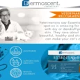 Savavet Dermoscent Essential 6 Spot On Cats, 0.6ml x 4 Pipette