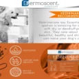 Savavet Dermoscent Essential 6 Spot On for Dogs 20 to 40kg, 2.4 ML X 4 Pipette