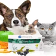 Savavet Dermoscent Pyoclean Oto for Dogs & Cats, 5 ML x 10 Pipette
