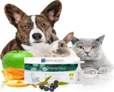 Savavet Dermoscent Pyoclean Oto for Dogs & Cats, 5 ML x 10 Pipette at ithinkpets.com (2)