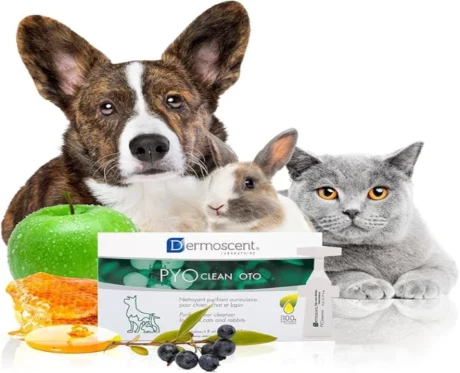 Savavet Dermoscent Pyoclean Oto for Dogs & Cats, 5 ML x 10 Pipette at ithinkpets.com (2)