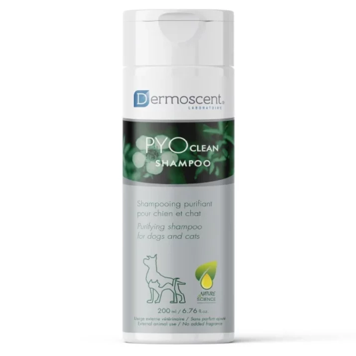 Buy Savavet Dermoscent Pyoclean Shampoo For Dogs Cats
