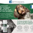 Savavet Dermoscent Pyoclean Shampoo for Dogs & Cats, 200 ML