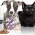 Savavet Dermoscent Pyoclean Spray for Dogs & Cats, 50 ML