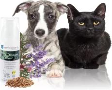 Savavet Dermoscent Pyoclean Spray for Dogs & Cats, 50 ML at ithinkpets.com (2)