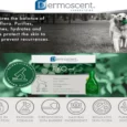 Savavet Dermoscent Pyospot for Dogs 20 to 40kg, 2.4 ML x 4 Pipette