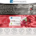 Savavet Dermoscent Uti-Zen for Dogs & Cats, 30 Capsules