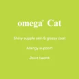 Venttura Omega Plus Cat Supplement for Healthy Skin & Beautiful Glowing Coat, 100 ML