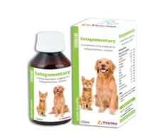 Vetricare Integumentary Syrup for Dogs & Cats, 100 ML at ithinkpets.com (1) (1)
