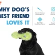 West Paw Rowdies Lewis with HardyTex and Zogoflex Chew Zones for Dogs