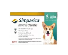Zoetis Simparica 40 MG 6 Tablets, Tick and Flea Control Tablet for Dogs, 10 - 20 KG at ithinkpets.com (1)