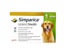Zoetis Simparica 80 MG 6 Tablets, Tick and Flea Control Tablet for Dogs, 20 - 40 KG at ithinkpets.com (1) (1) (1)
