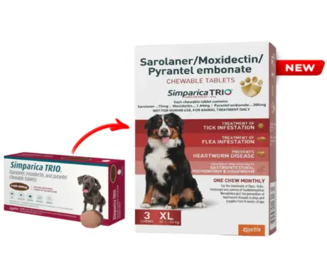 Zoetis Simparica Trio XL Chewable tablet for dogs, (40 – 60 Kg Weight) at ithinkpets.com 1 (1)