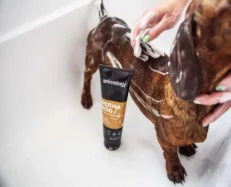 Animology Derma Dog Sensitive Skin Shampoo, 250 ML at ithinkpets.com (5)