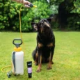 Animology Flea and Tick Puppy and Dog Shampoo, 250 ML
