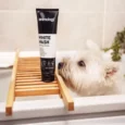 Animology White Wash Shampoo for Dogs, 250 ML