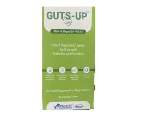 Intas Guts Up Digestive Health Supplement for Dogs & Cats, 30 Tablets at ithinkpets.com (1)