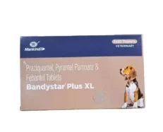 Mankind Bandystar Plus XL Deworming Tablets for Dogs, 10 Tab at ithinkpets.com (1) (1)