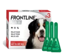 Boehringer Ingelheim Frontline Plus XL Tick & Flea Spot On for Dogs 40-60 KG, 2.02 ML at ithinkpets.com (1) (1)