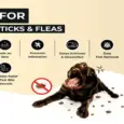 Fur Ball Story Preven Tick and Flea Spray for Dogs, 200 ML at ithinkpets.com (5)