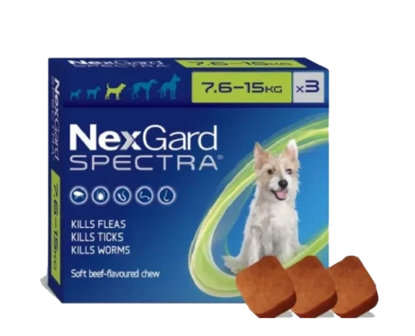 NexGard Spectra Medium for Flea,Tick & Heartworm Protection for Dogs, 7.5-15 KG at ithinkpets.com (1) (2)