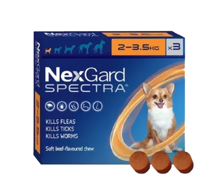 NexGard Spectra Small for Flea, Tick & Heartworm Protection for Dogs, 2-3.5 KG at ithinkpets.com (1)