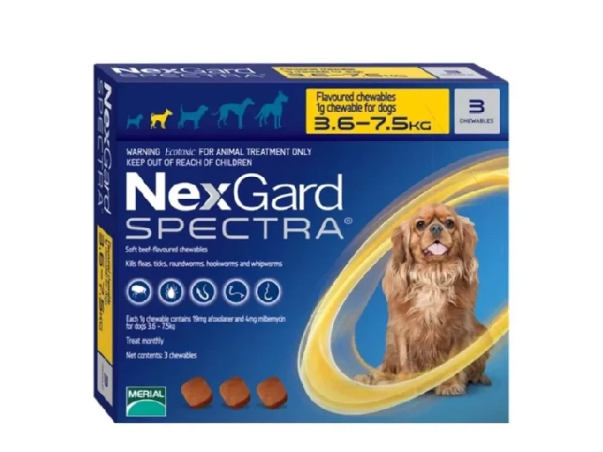 spectra chewables nexgard spectra for small