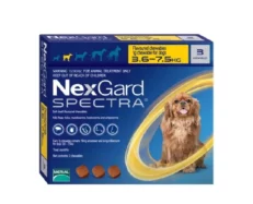 NexGard Spectra Small for Flea,Tick & Heartworm Protection for Dogs, 3.5-7.5 KG at ithinkpets.com (1) (1)