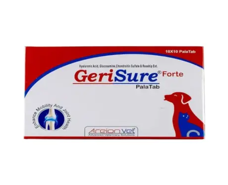 Areion Vet Gerisure Forte Tablets for Dogs and Cats at ithinkpets.com (1)