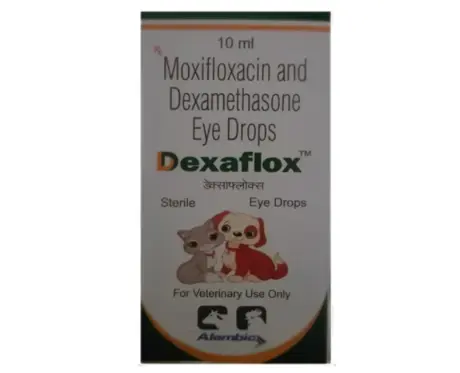 Alembic Dexaflox (Moxifloxacin & Dexamethasone) Eye Drops for Dogs and Cats, 10 ML at ithinkpets.com (1)