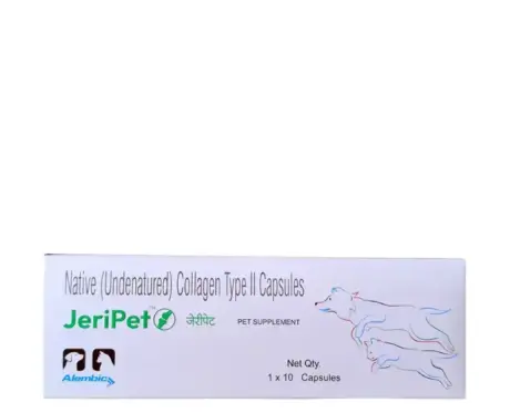 Alembic Jeri Pet Capsule Joint Health Supplement for Dogs and Cats atIthinkpets.com