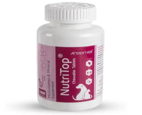 Alembic Vet Nutritop Tablet For Dogs And Cats, 60 Tablets at ithinkpets.com (1)