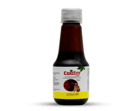 Areion Vet Carisyp Syrup for Dogs and Cats, 100 ML at ithinkpets.com (1) (1)