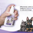 Beaphar Calming Home Spray for Dogs and Cats,125 ML atIthinkpets.com 2