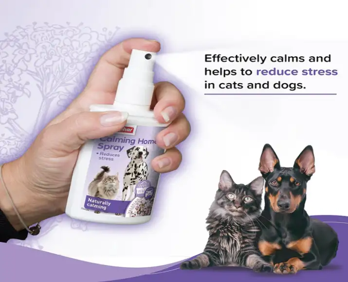 Beaphar Calming Home Spray for Dogs and Cats,125 ML atIthinkpets.com 2
