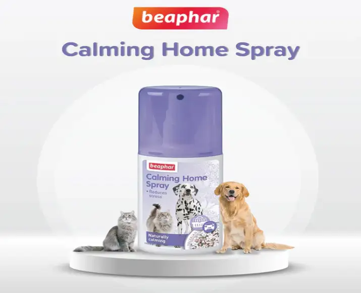 Beaphar Calming Home Spray for Dogs and Cats,125 ML atIthinkpets.com
