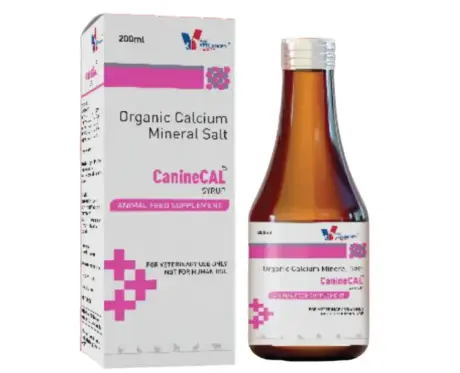 Drools Canine Cal Syrup for Dogs and Cats, 200 ML atIthinkpets.com